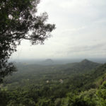Read more about the article Places to visit in Wayanad