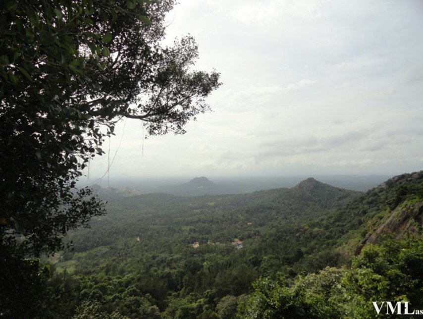 top view